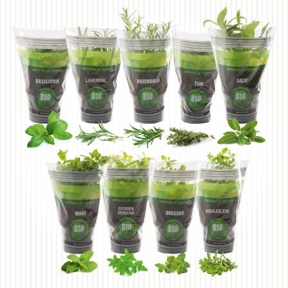 Plante aromatique
