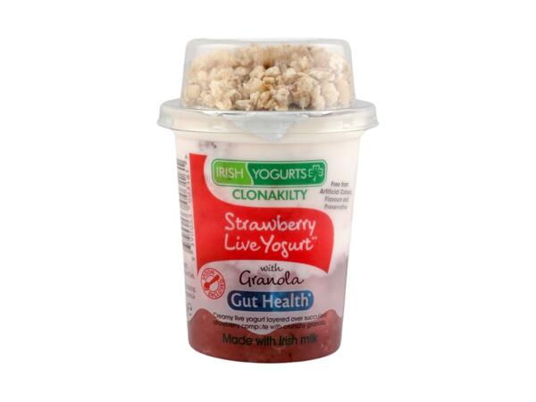 Granola Yogurt
