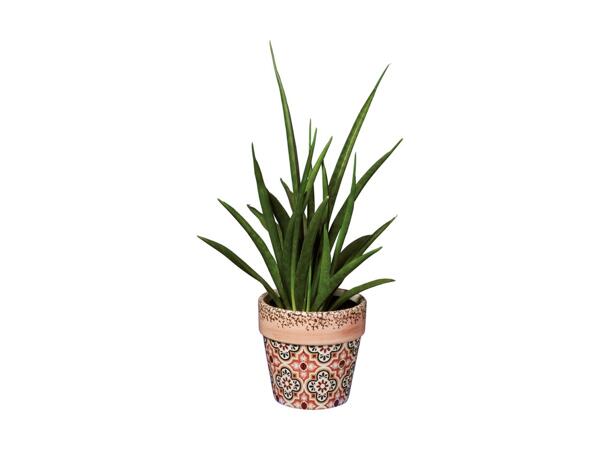 Talavera Houseplant