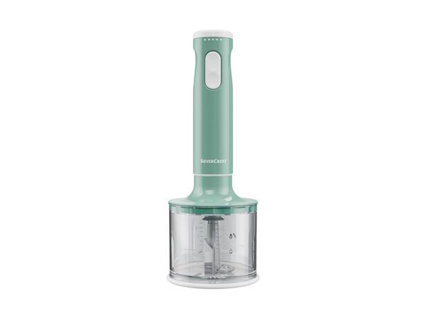 600W Hand Blender Set