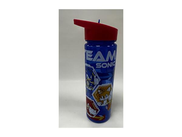 600ml Character Water Bottle - Sonic