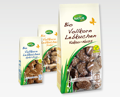 Panpepato integrale bio NATUR AKTIV BIO