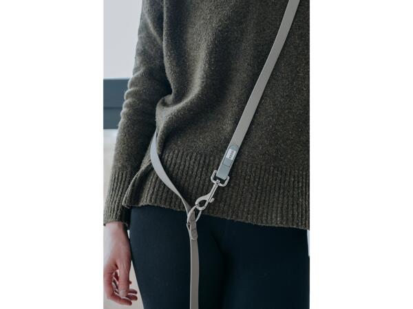 Kessi Dog Leash
