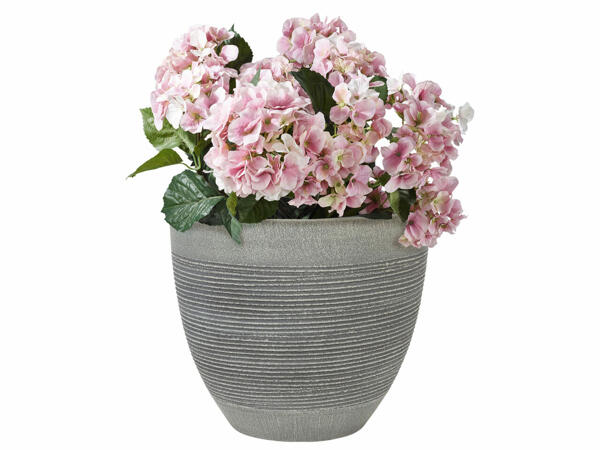 Blomkruka, 31 cm