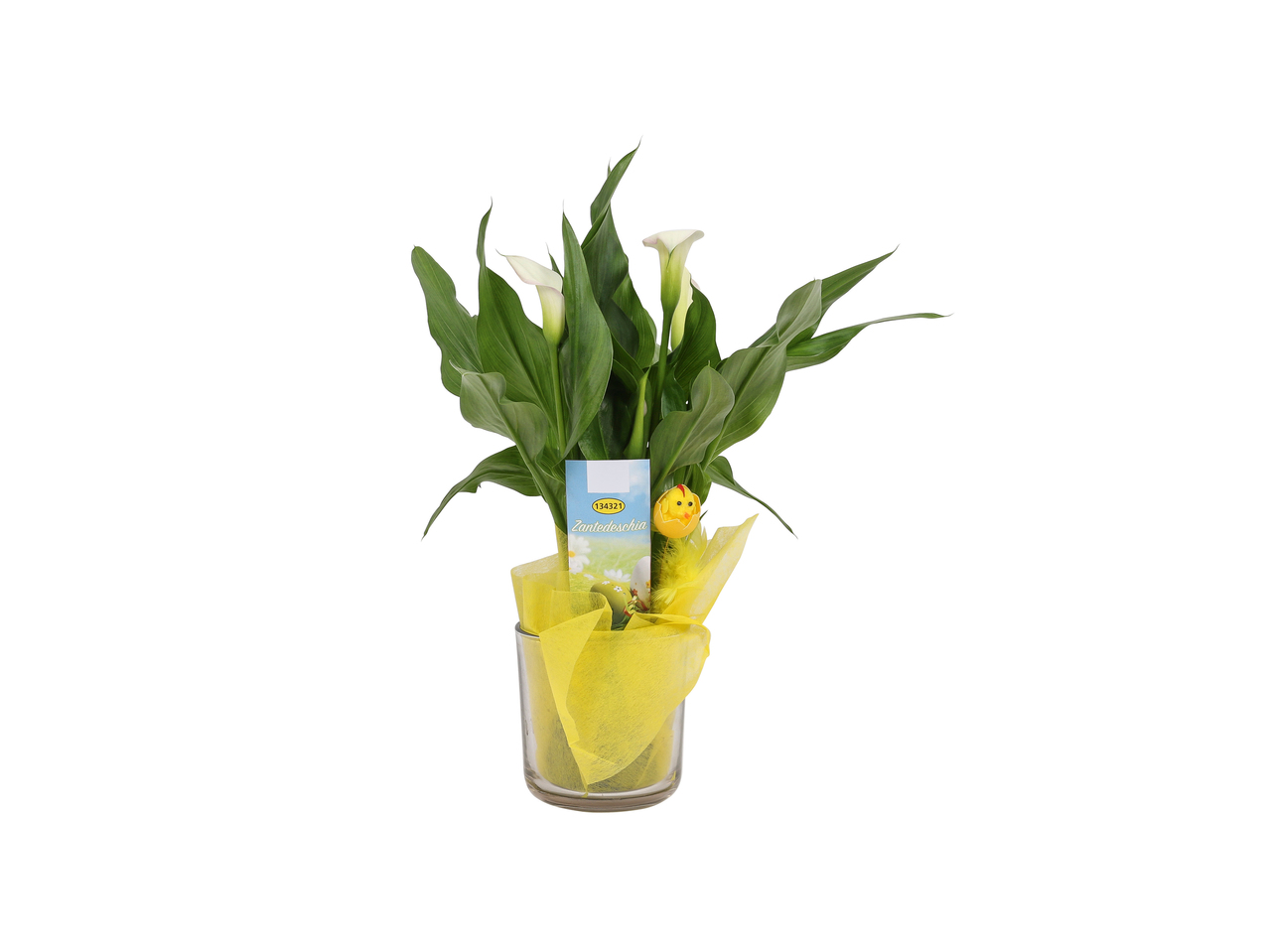 Calla in glas met paasdecoratie