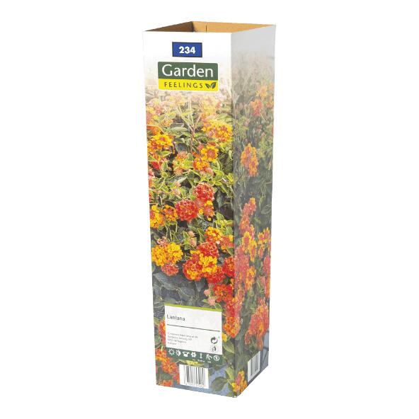 GARDEN FEELINGS(R) 				Rosiers ou plantes
