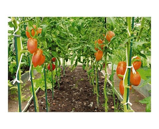 Gardenline 
 4-Pack Plant Supports