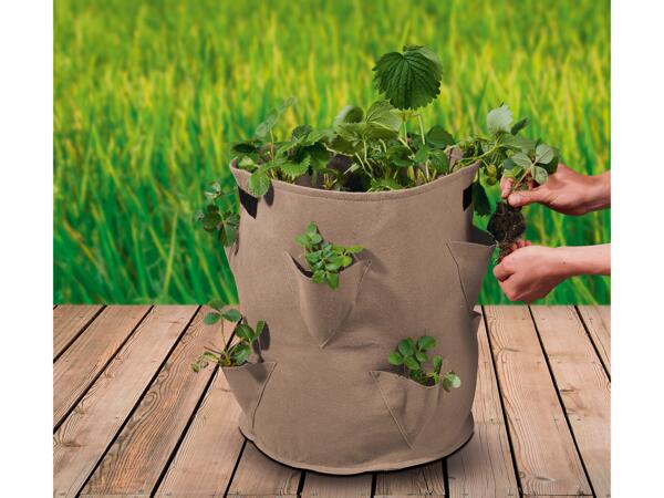 Grow Bags Set