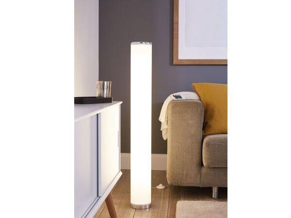 LED Floor Lamp