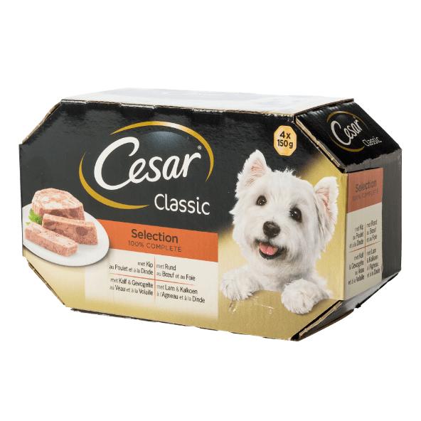 Nourriture pour chiens, 4 pcs