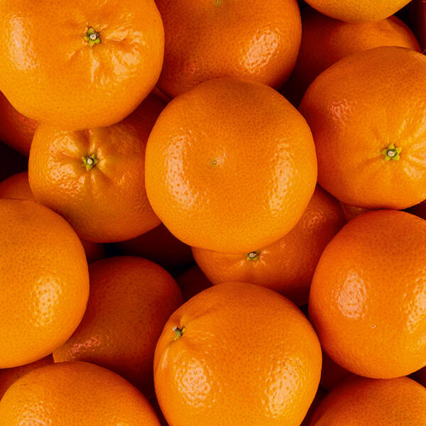 Saft-Mandarinen