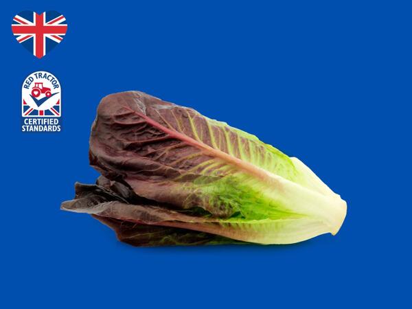 British Ruby Romaine Hearts