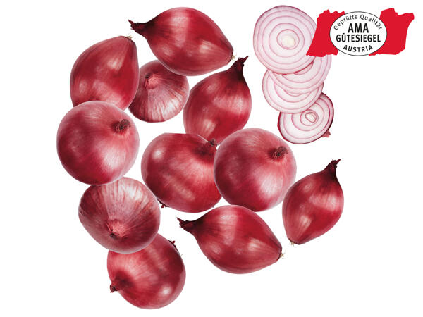 Zwiebeln rot aus Österreich