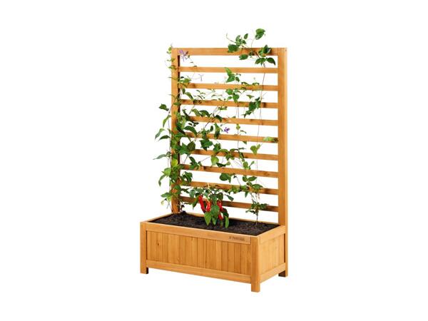 Planter with Trellis