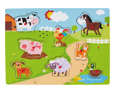 Sound Peg Puzzles