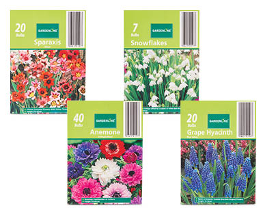 Assorted Packet Bulbs