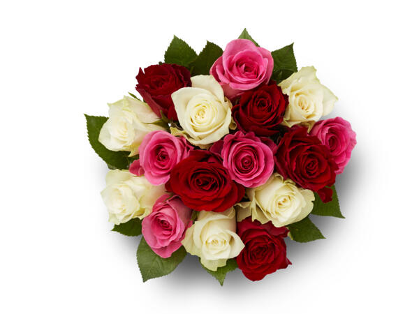 Mixed Fairtrade Roses