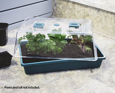 Seed and Cutting Greenhouse