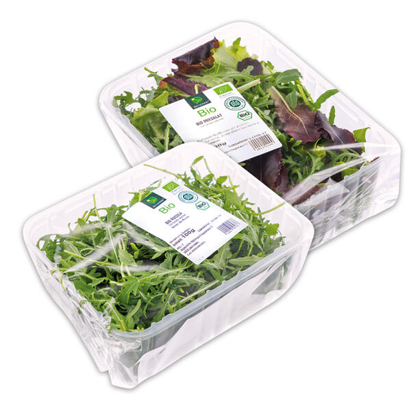 Bio-Salat