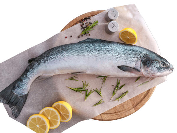 Frischer Lachs