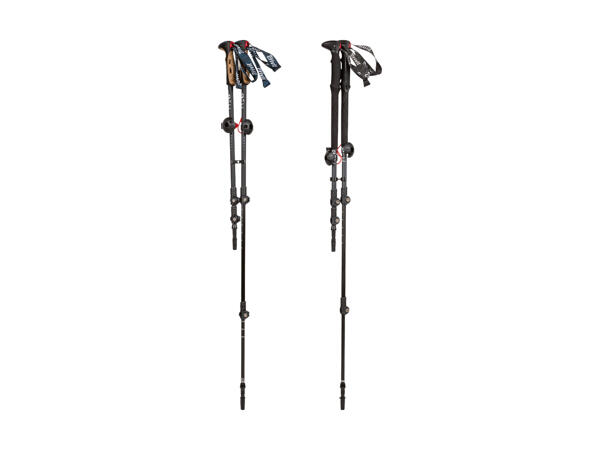 Bâtons de randonnée en aluminium, lot de 2
