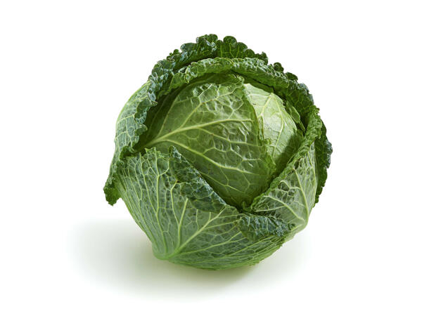 Chou vert
