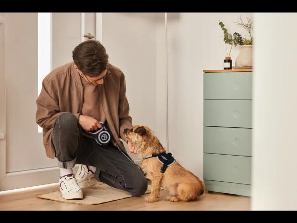 Retractable Dog Lead