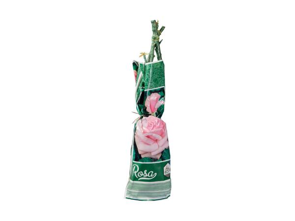 Bare Root Climbing Roses