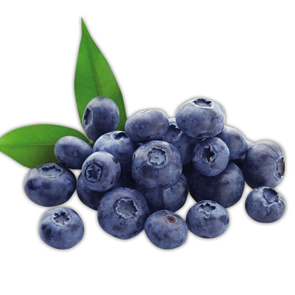 Premium Kulturheidelbeeren