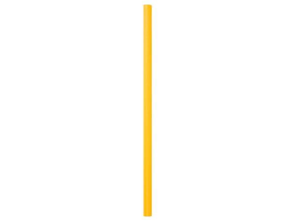 Pool Noodle