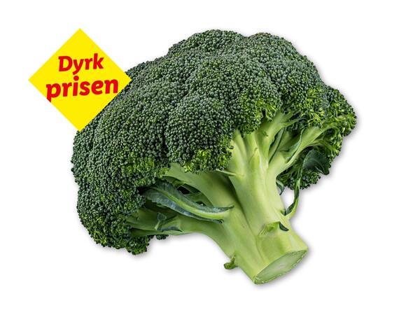 Broccoli
