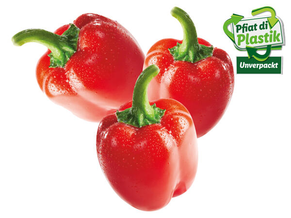 Paprika rot