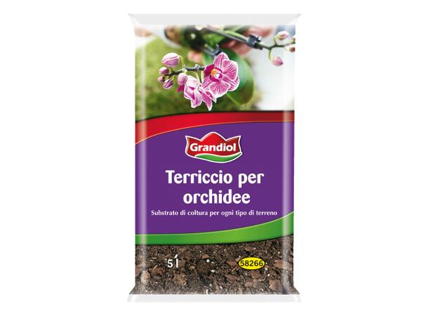 Soil for Orchids
