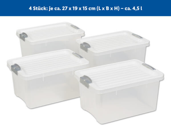 Aufbewahrungsboxen, 2 oder 4 Stück