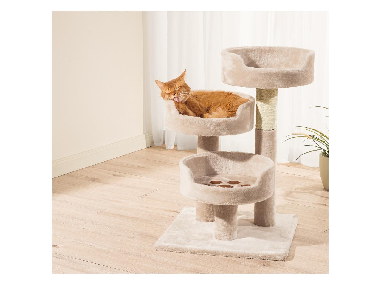 Zoofari Scratching Post1