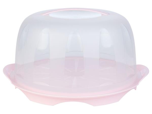 Muffin or cake storage box
