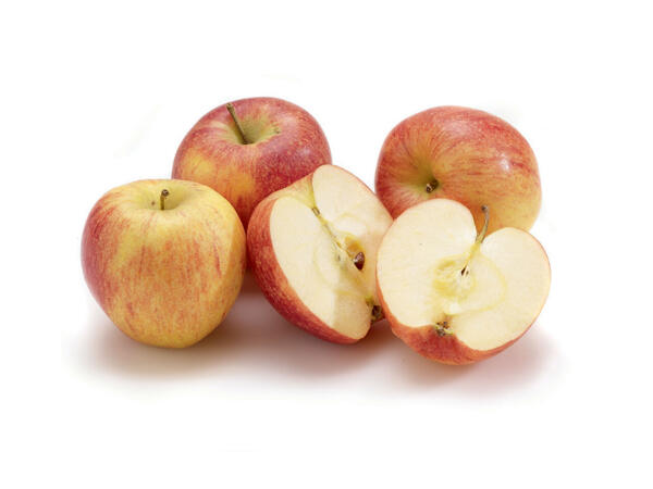 Pomme Double Red