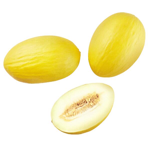 Melon miodowy
