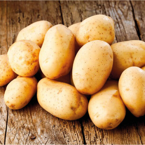 Pommes de terre de consommation Nouvelle Récolte