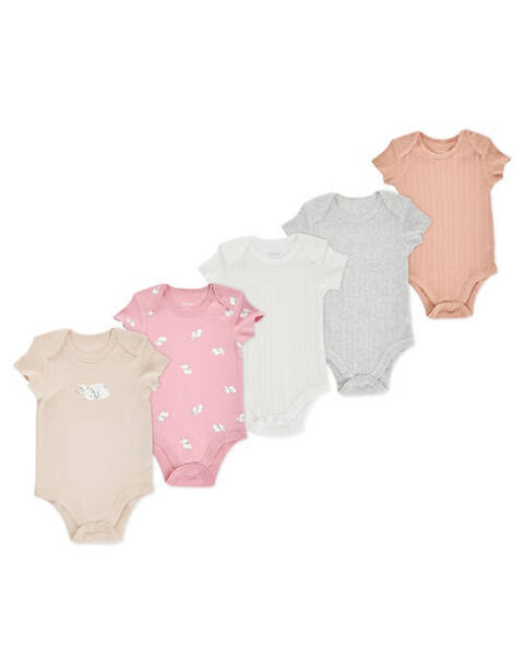 5 Pack Shortsleeve Bodysuits