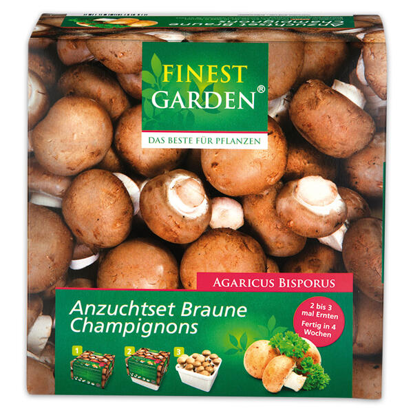 Champignon-Anzuchtset