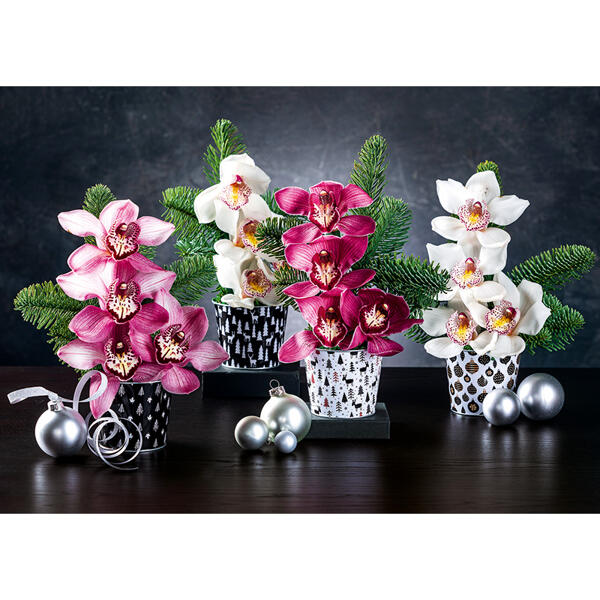 Orchideengesteck "Weihnachten"