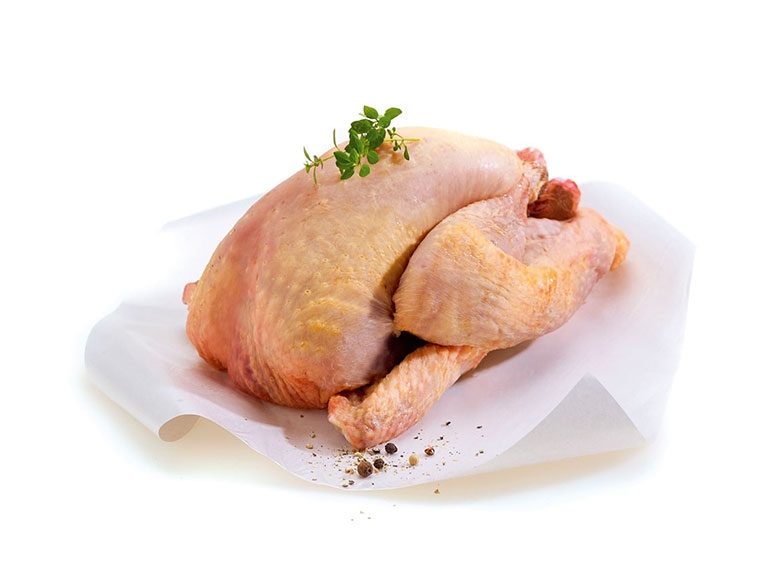 Pintade