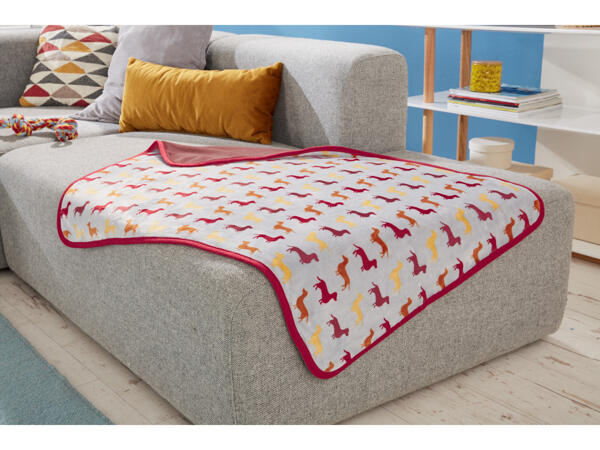 Pet Blanket