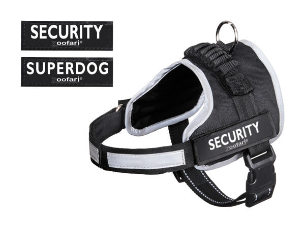 Harnais pour chien