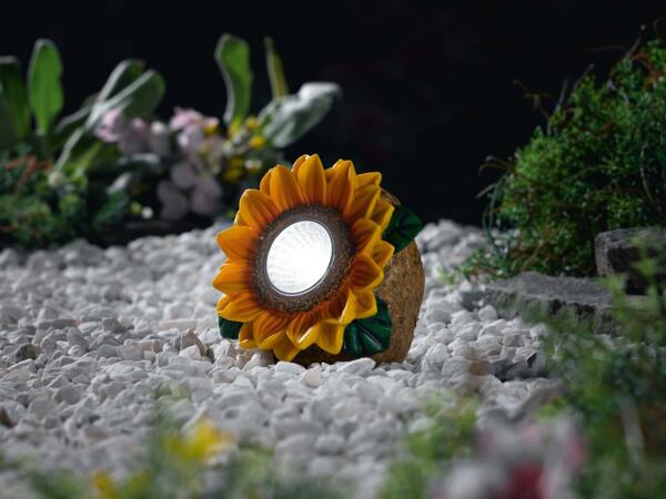 Decorative Solar Lights