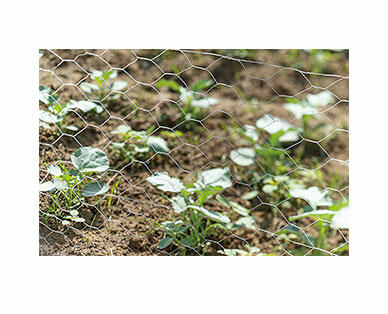 Gardenline Garden Netting