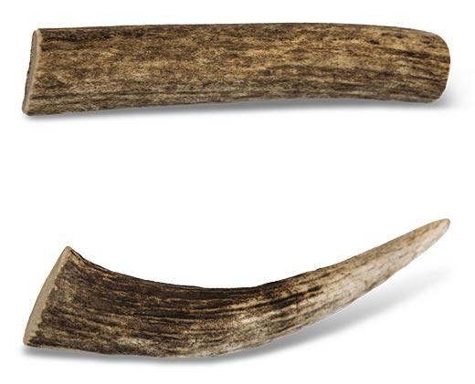 Pure Being 
 Whole or Split Antler
