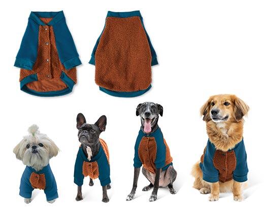 Heart to Tail Varsity Pet Coat