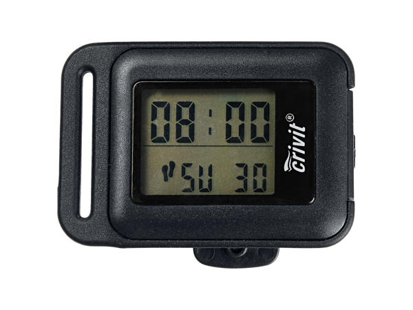 Pedometer